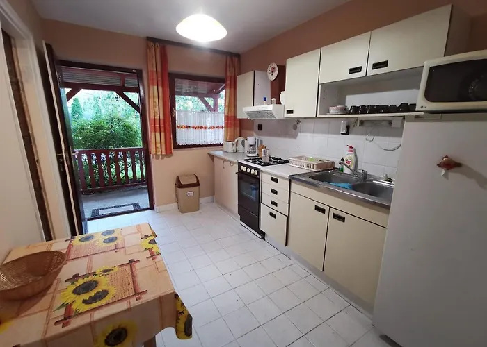 Erika Vendeghaz Centrumban