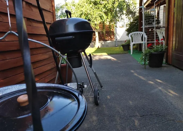 Erika Vendeghaz Centrumban